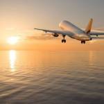 anai ella Profile Picture