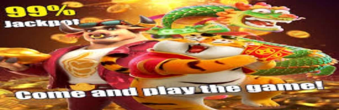 667bet ltd Cover Image