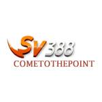 SV388 Profile Picture