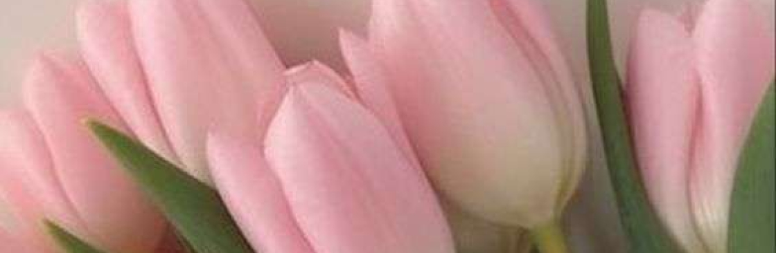 Anna Mahon Cover Image