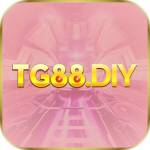 TG88 Profile Picture