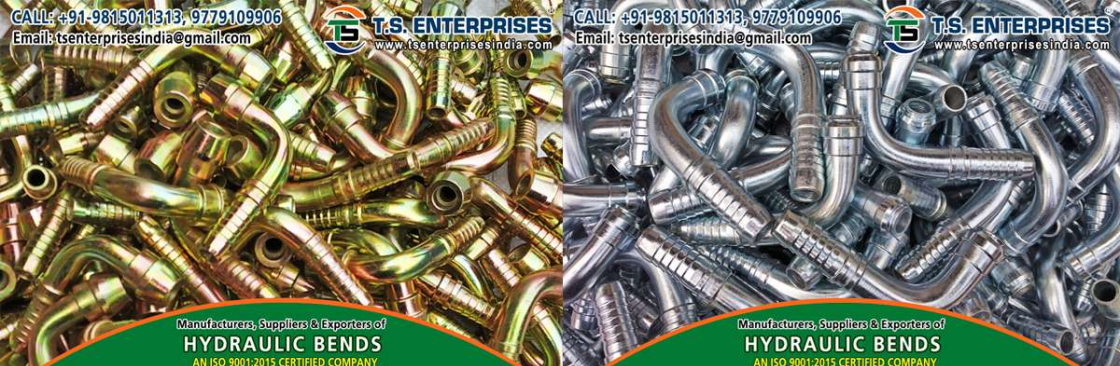 Satinder Singh Cover Image