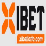 Xibet Lotto Profile Picture