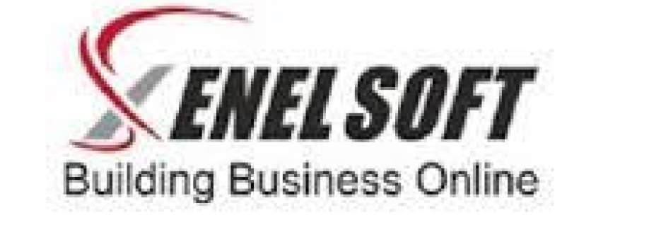 Xenelsoft Cover Image