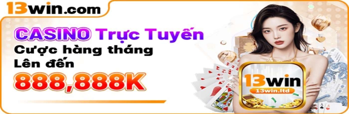 13win ltd Cover Image