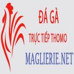 Đá Gà Trực Tiếp Thomo Profile Picture