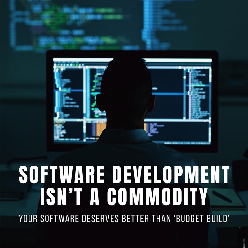 The Real Cost of Budget Software Development | Misha Infotech