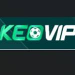 kèo nhà cái Profile Picture