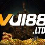 vui88 ltd Profile Picture