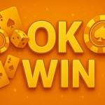 Okwin game Profile Picture