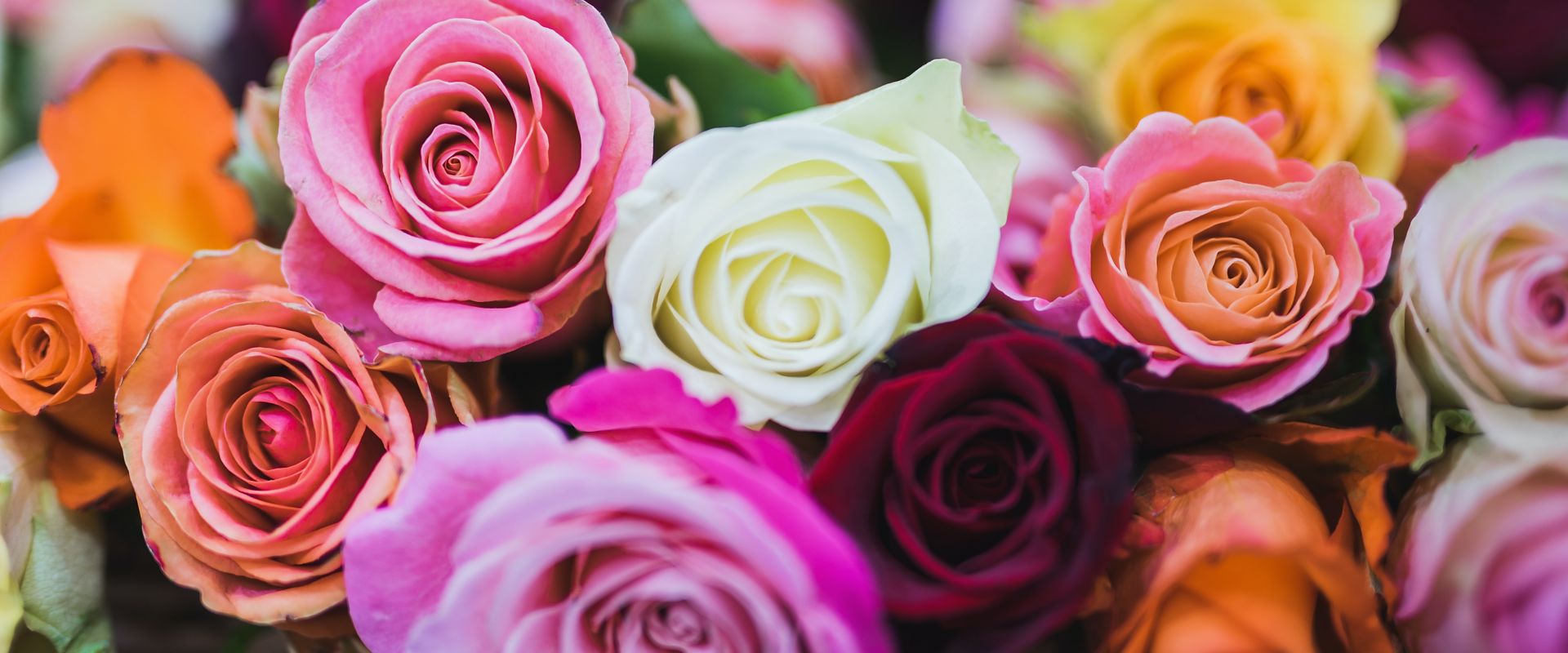 Premarital Counseling MN, Engagement Counseling & Education, Enrich Your Relationship