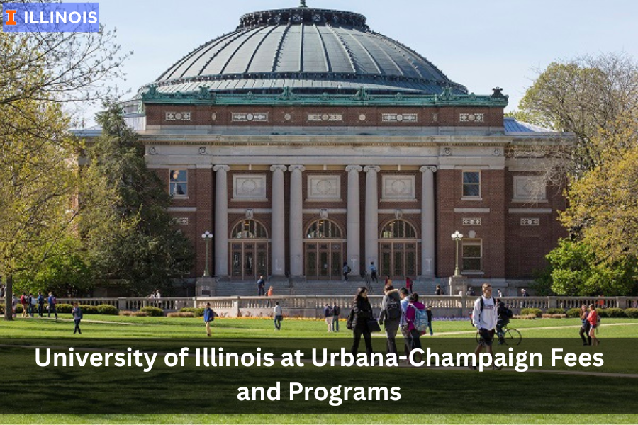 University of Illinois at Urbana-Champaign Fees and Programs 2025-26 | ApplyBuds