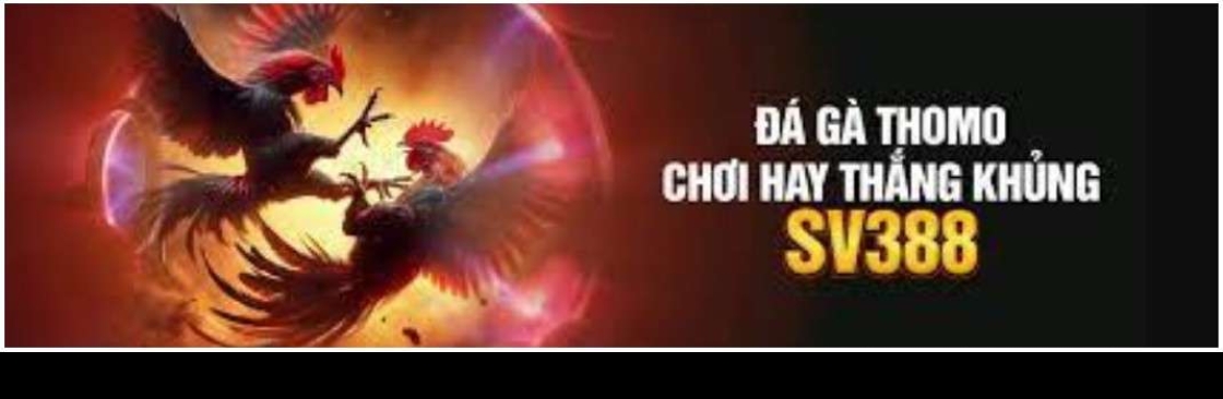 V388 Casino Cover Image