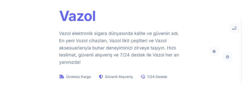 Vozol 25000 Cover Image