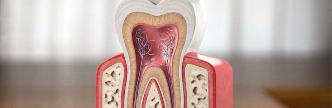 Smile Venue Dental Cover Image