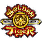 Golden Tiger Profile Picture