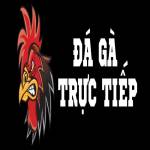 Đá Gà Trực Tiếp Profile Picture