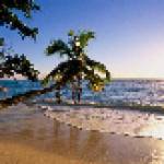 Real Estate Profile Picture