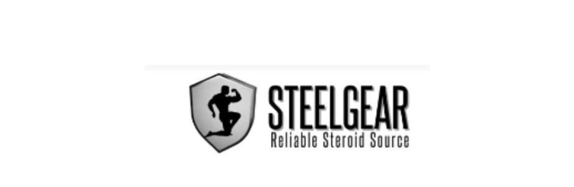 Steelgear Cover Image