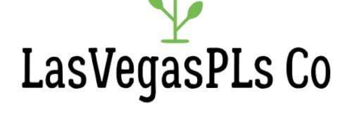 LasVegasPLs Co Cover Image