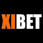 XIBET CASINO Profile Picture