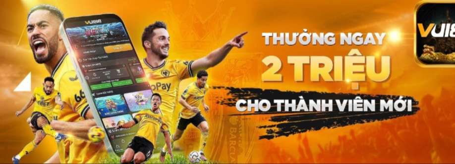 vui88 ltd Cover Image