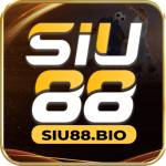Siu88 Bio Profile Picture