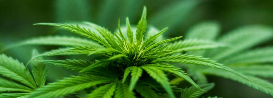 Doobie District Cover Image