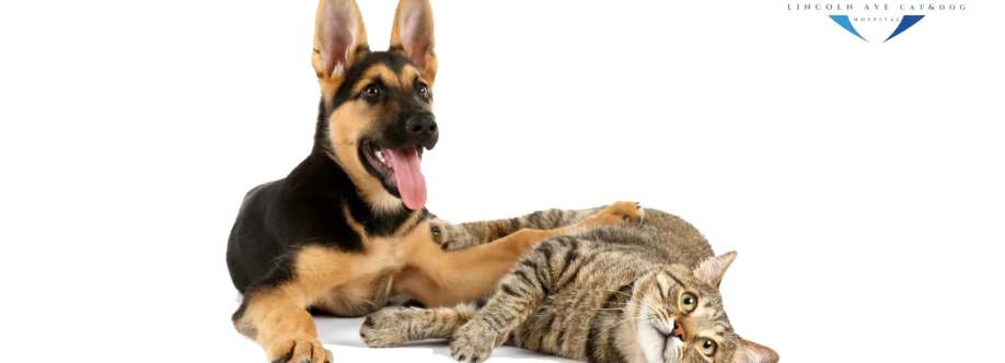Lincoln Ave Cat Dog Hospital Cover Image
