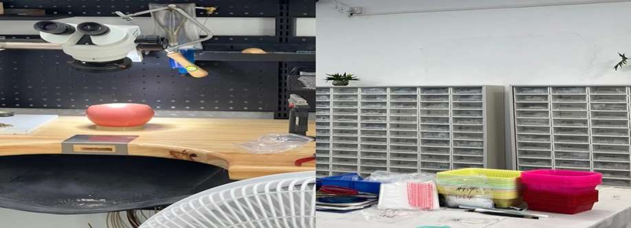 LÉA Jewels Cover Image