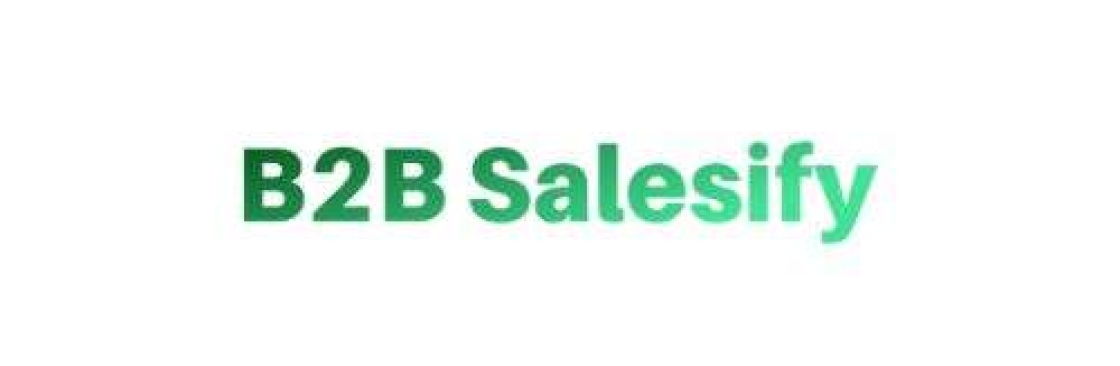 b2b salesify Cover Image