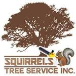 Squirrels Tree Service Inc Profile Picture