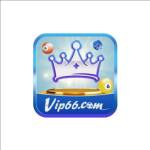 VIP66 Cymru Profile Picture