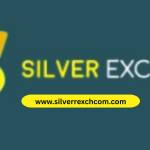 silver com Profile Picture