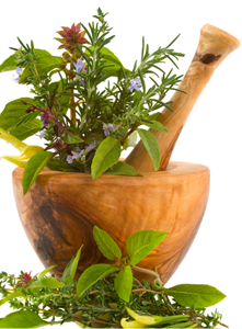 Ayurveda Treatments : Best Ayurvedic Treatment & packages in Kerala, Kannur