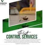 Vanquish Pest Control Profile Picture