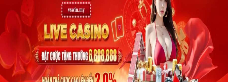 Vswin my Cover Image