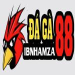 ĐÁ GÀ 88 ĐÁ GÀ TRỰC TIẾP THOMO Profile Picture