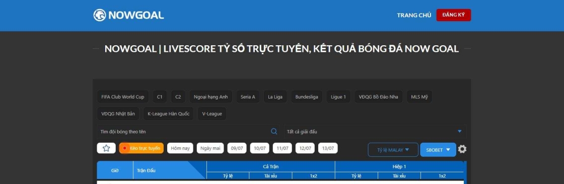 Now Goal Cover Image