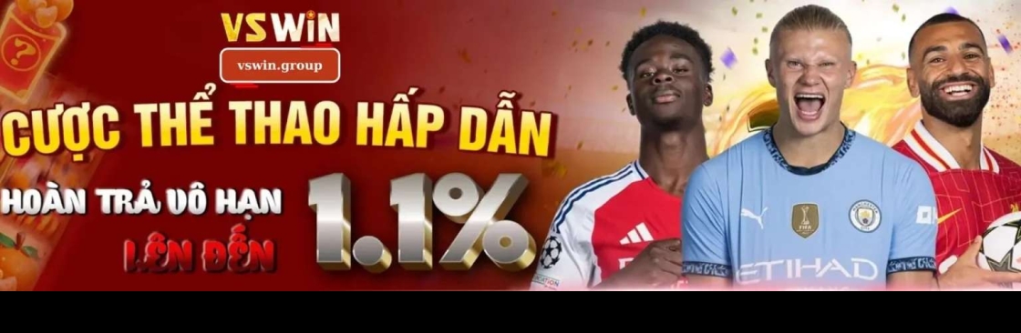 vswin group Cover Image