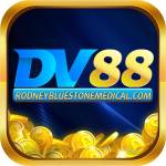 Dv88 Profile Picture