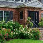 Duane Buziak Profile Picture