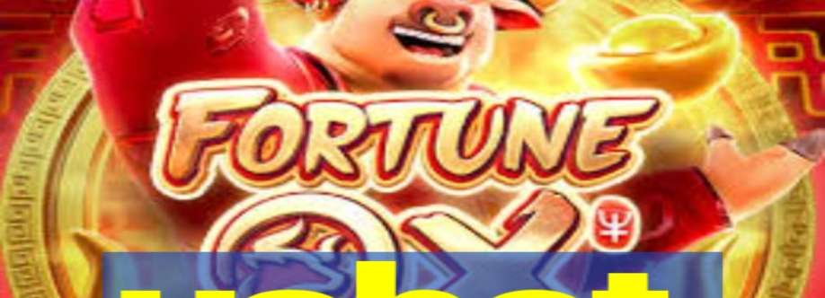 usbet net Cover Image