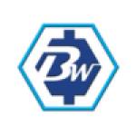 Bless Web Designs Profile Picture