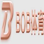 BOB 体育 Profile Picture