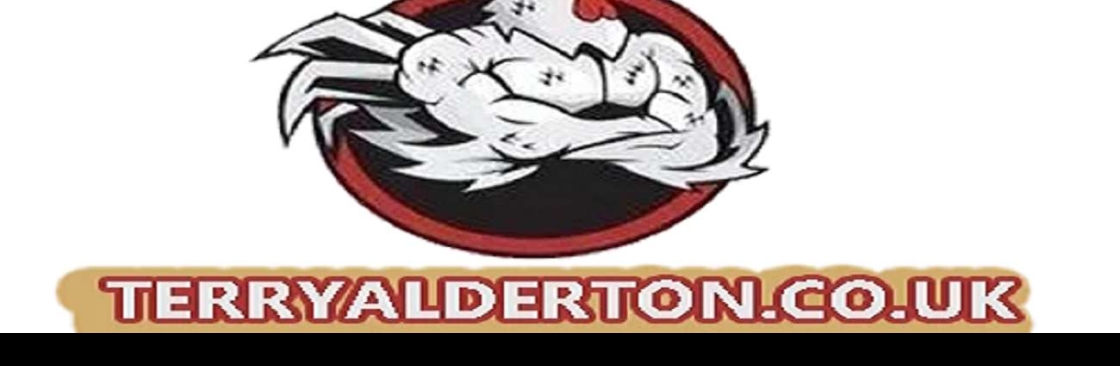 ĐÁ GÀ TRỰC TIẾP VIN Cover Image