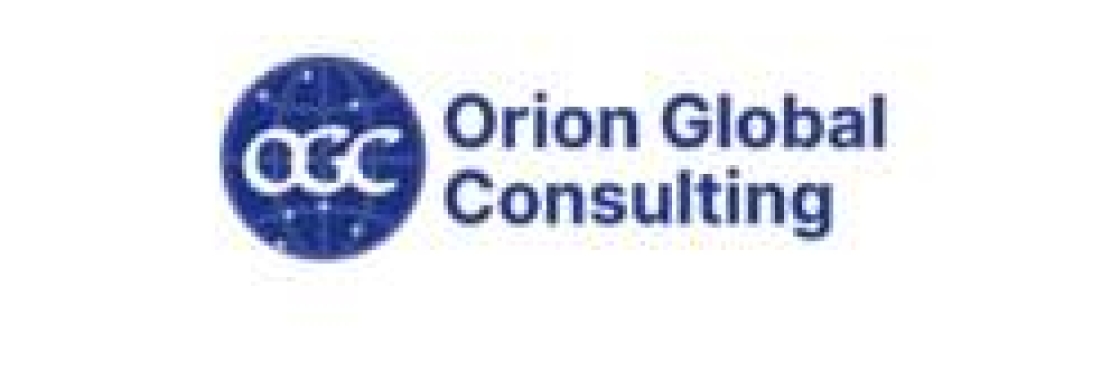 Orion global consulting Cover Image
