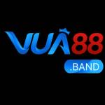 VUA88 band Profile Picture