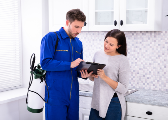 Pest Control Eltham, Termite Treatment & Inspections, Rat Control