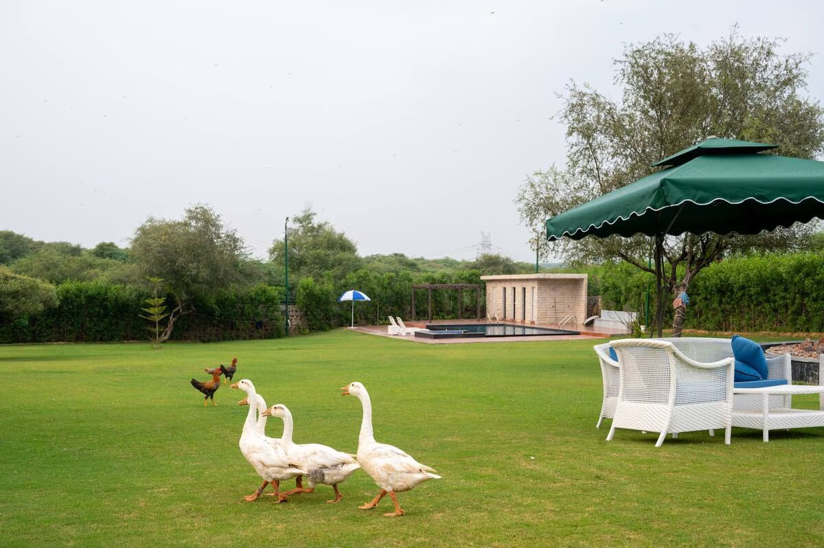 Naugaon Farm Houses, Alwar, Rajasthan
